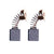 Evolution R255SMS / R255SMS+ Carbon Brushes (1 Pair)